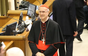 Cardinal Tarcisio Bertone at the Vatican's New Synod Hall on Nov. 12, 2013.   Alan Holdren/CNA.