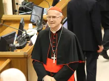 Cardinal Tarcisio Bertone at the Vatican's New Synod Hall on Nov. 12, 2013. 