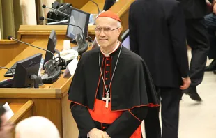 Cardinal Tarcisio Bertone at the Vatican's New Synod Hall on Nov. 12, 2013.   Alan Holdren/CNA.