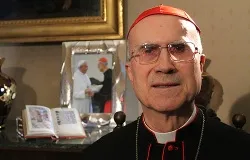 Cardinal Tarcisio Bertone at his apartment in the Apostolic Palace, March 7, 2014. ?w=200&h=150