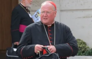 Cardinal Timothy M. Dolan leaves the Oct. 2012 synod on the New Evangelization at the Vatican.   Alan Holdren-CNA.