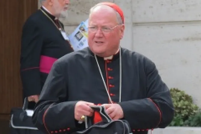 Cardinal Timothy Dolan Credit Alan Holdren CNA 2 CNA500x320 Vatican Catholic News 10 23 12