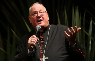 Cardinal Timothy Dolan. Archdiocese of Boston via Flickr CC BY ND 2.0.
