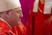 Cardinal Timothy Dolan Credit Jeffrey Bruno CNA