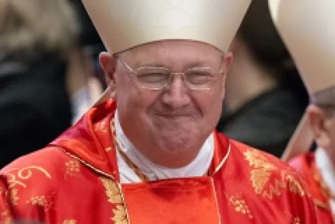 Cardinal Timothy Dolan of New York Credit Jeffrey Bruno CNA CNA US Catholic News 4 29 13