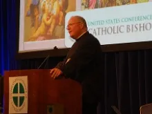 Cardinal Timothy Dolan of New York addresses the USCCB Fall meeting Nov. 11, 2013. 
