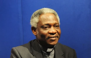 Cardinal Peter Turkson.   Mazur/catholicnews.org.uk