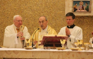 Cardinal Velasio de Paolis celebrated the closing Mass of the Legionaries of Christ's General Chapter Meeting in Rome Feb. 25, 2014.   LC Photoservice.