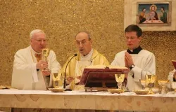 Cardinal De Paolis says the closing Mass of the Legion of Christ's general chapter in Rome, Feb. 25, 2014. ?w=200&h=150