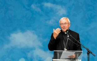 Cardinal Vincent Nichols of Westminster delivers a keynote address at the World Meeting of Families in Dublin, Aug. 23, 2018.   Daniel Ibanez/CNA.