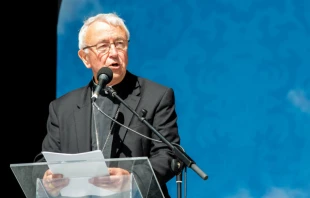 Cardinal Vincent Nichols of Westminster speaks at the World Meeting of Families in Dublin, August 2018.   Daniel Ibanez/CNA.