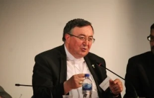 Cardinal Vinko Puljic speaks during an Oasis conference in Sarajevo, Bosnia June, 17 2014.   Elise Harris/CNA.