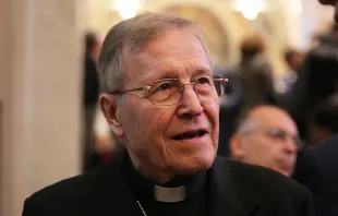 Cardinal Walter Kasper.   Bohumil Petrik/CNA