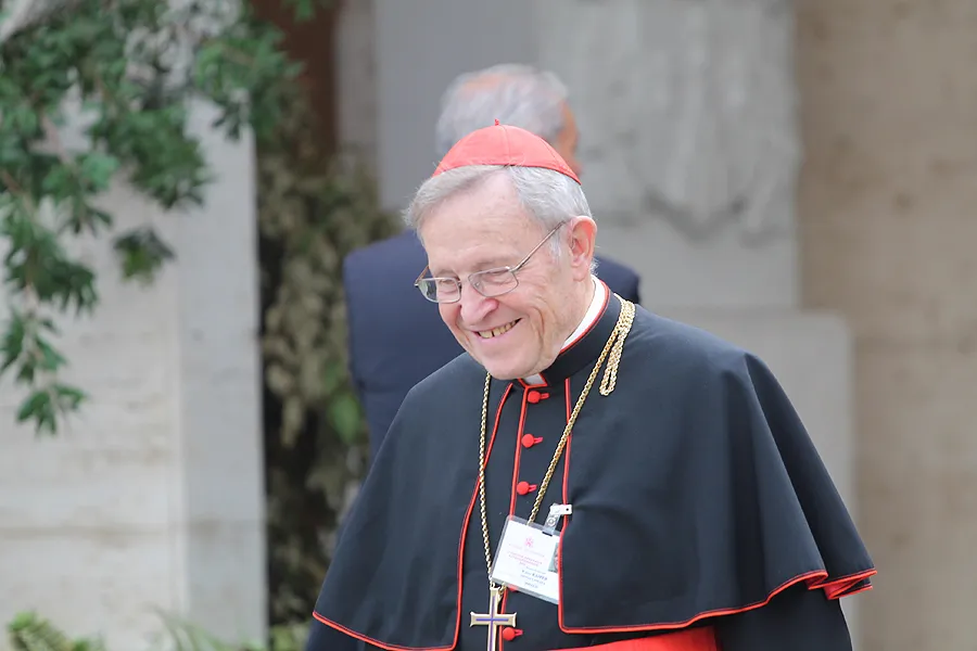 Cardinal Walter Kasper leaves the Vatican's Synod Hall during the Synod on the Family, Oct. 13, 2014. ?w=200&h=150