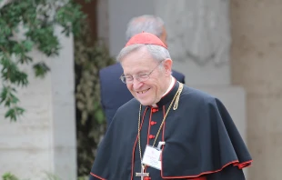 Cardinal Walter Kasper leaves the Vatican's Synod Hall during the Synod on the Family, Oct. 13, 2014.   Bohumil Petrik/CNA.
