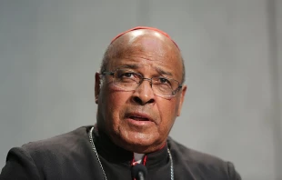 Cardinal Wilfrid Napier of Durban speaks at a Vatican press conference, Oct. 20, 2015.   Daniel Ibanez/CNA.