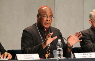 Cardinal Wilfird Napier speaks at the Vatican Press Office on Oct. 14, 2014.   Bohumil Petrik/CNA.