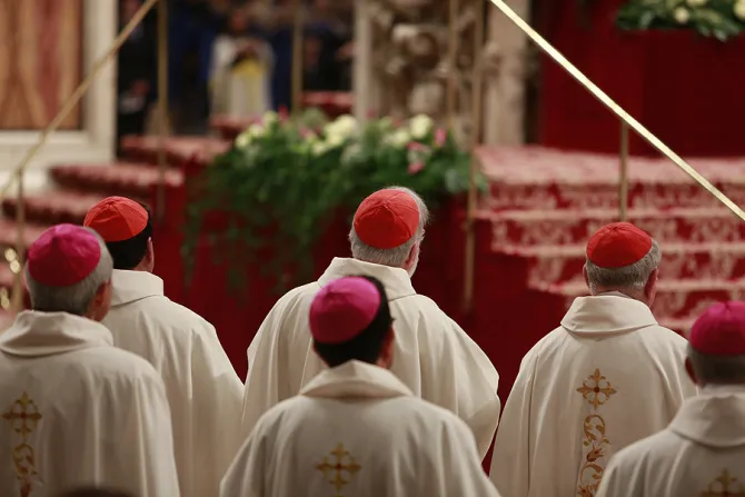 Cardinals and Bishops celebrate Mass in St Peters Basilica with Pope Francis for the Feast of Our Lady of Guadalupe on Dec 12 2014 Credit Daniel Ibez CNA CNA 12 12 14
