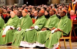 Cardinals at the Feb. 23, 2014 Mass at St. Peter's Basilica. ?w=200&h=150