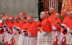 Cardinals at the Feb. 22 consistory. ?w=200&h=150