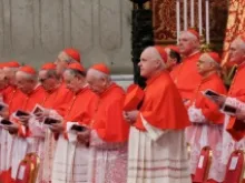 Cardinals at the Feb. 22 consistory. 