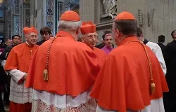 Cardinals greet each other after the consistory on November 24, 2012 in St. Peter's Basilica. ?w=200&h=150