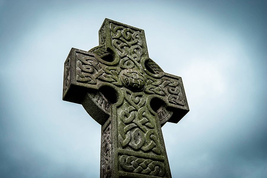 Irish Forest Secretly Grows Into Celtic Cross