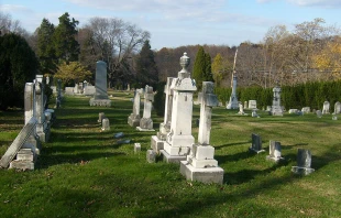 Peter Griffin (CC0 1.0).