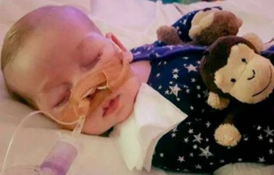 Charlie Gard. Photo courtesy of Connie Yates.