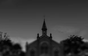 Orangecatteam / Shutterstock.