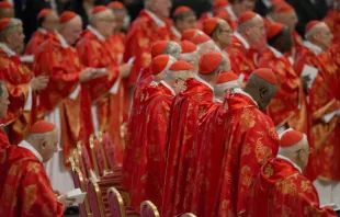 The College of Cardinals celebrates Mass March 12, 2013 before entering the Sistine Chapel for the papal conclave.   Jeffrey Bruno/CNA.