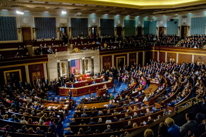 Congress House of Representatives Creditmark reinstein  Shutterstock