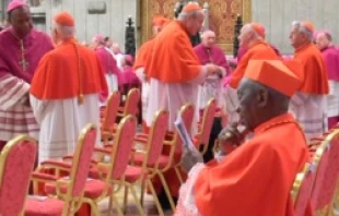 A cardinal reads the Mass booklet for the Nov. 2010 consistory. File photo CNA.