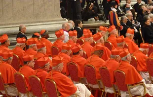 Cardinals participate in the Nov. 2012 consistory in St. Peter's Basilica.   Lewis Ashton Glancy/CNA.