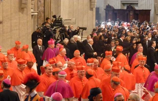 Cardinals participate in a consistory held in St. Peter's Basilica, Nov. 4, 2014.   Lewis Ashton Glancy/CNA.