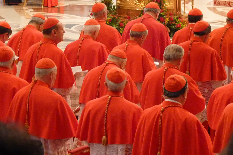 Cardinals gathered in St. Peter's Basilica for a consistory, Nov. 4, 2012.?w=200&h=150