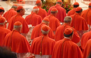 Cardinals gathered in St. Peter's Basilica for a consistory, Nov. 4, 2012. Lewis Ashton Glancy/CNA.