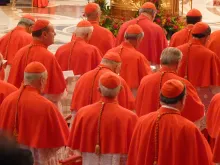 Cardinals gathered in St. Peter's Basilica for a consistory, Nov. 4, 2012.