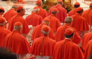 Cardinals gathered in St. Peter's Basilica for a consistory, Nov. 4, 2012.   Lewis Ashton Glancy/CNA.