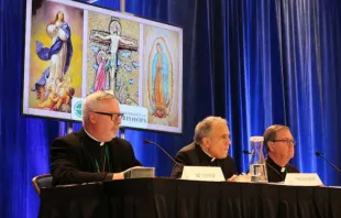 Bishop Coyne, Cardinal DiNardo, and Bishop Doherty at the USCCB press conference in Baltimore, Md., Nov. 12, 2018.   Christine Rousselle/CNA.