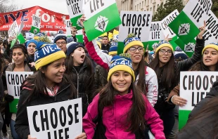 Crowds at the March for Life in Washington, D.C. on Jan. 27, 2017.   Jeff Bruno.