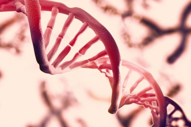 DNA Credit Liya Graphics  Shutterstock CNA1