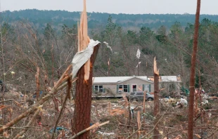 Damage is seen from a tornado which killed at least 23 people in Beauregard, Ala., March 4, 2019.   Tami Chappell/AFP/Getty Images.