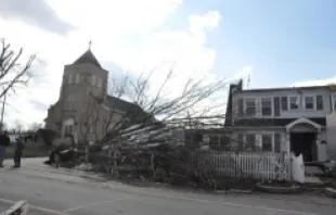 A downed tree outside of St. Francis Catholic Church in Henryville, Ind.   Sean Gallagher/The Criterion, courtesy of the Archdiocese of Indianapolis