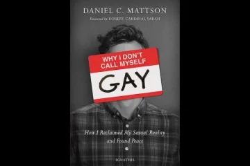 Daniel Mattsons book cover Courtesy of Carmel Communications CNA