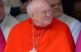 Cardinal Godfried Danneels in 2009.   Wikimedia/Magnus Manske.