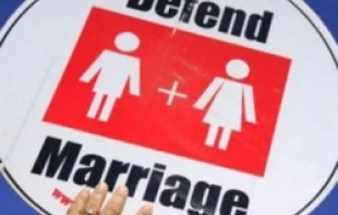 A marriage supporter holds a sign at a National Organization for Marriage rally on July 28, 2010, in St. Paul, Minn.   Fibonacci Blue via Flickr.com (CC BY 2.0)