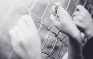 MIA Studio/Shutterstock.