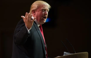 Donald Trump.   Christopher Halloran via www.shutterstock.com.