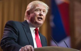 Donald Trump.   Christopher Halloran via www.shutterstock.com.